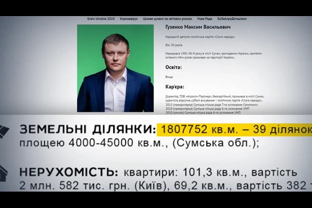 «Слуга народа» Максим Гузенко зарабатывает десятки миллионов гривен на «бесплатной» аренде земли в Сумской области