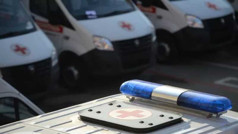 В Якутии медведь напал на двух вахтовиков