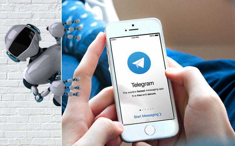 Telegram-бот для жалоб на нелегальный контент недоступен в РФ, но работает в ЕС