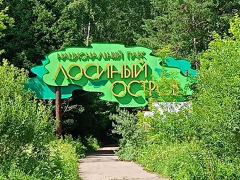 Тяжёлая техника, маски и кровь: как разрушается Лосиный Остров под предлогом строительства инфраструктуры