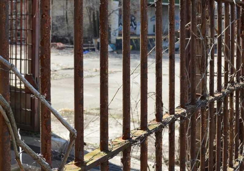 Egyptian political prisoners launch hunger strike amid torture and abuse claims