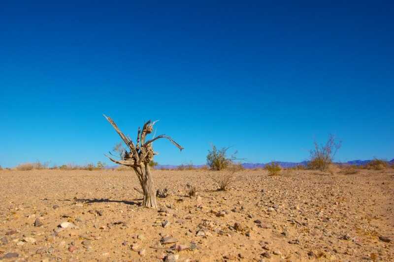 Climate change denial hashtags spike around global environmental events in Gulf social media