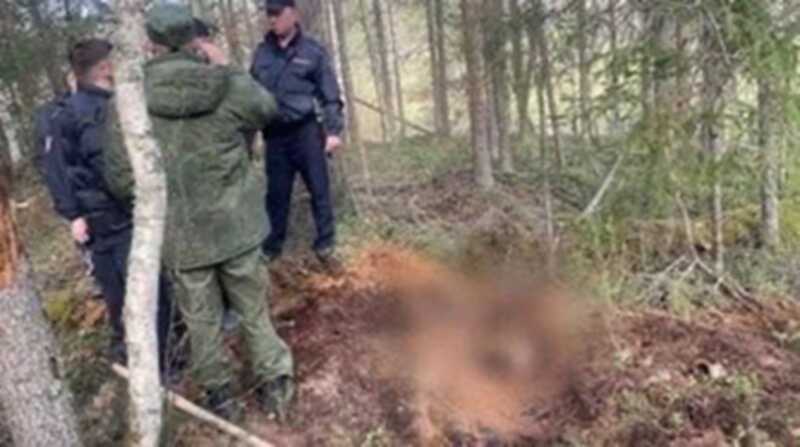 В Удмуртии обвиняемые в убийстве отправились на фронт вместо того, чтобы предстать перед судом